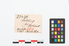 Etikett zu Bronzegürtelhaken (NHMW-PRAE-025430)